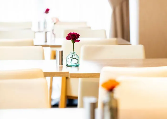 New Century Amsterdam